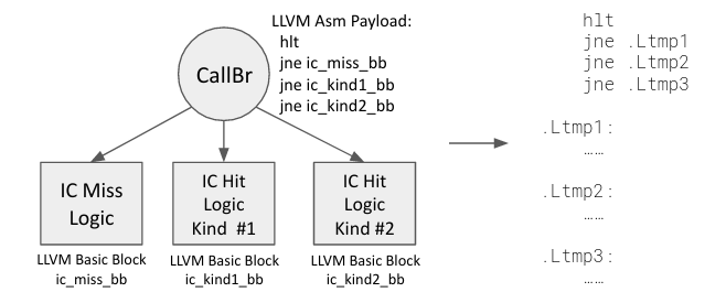 Compiler Debugging: Autopoly fix 